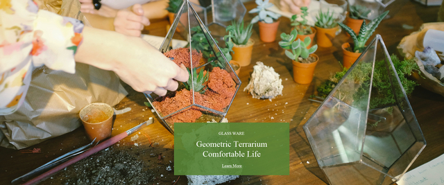 Geometric terrarium 